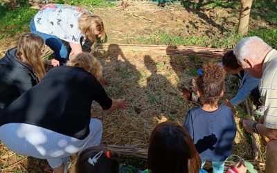There is no age limit to participate in international projects, discover volunteering at age 60+!