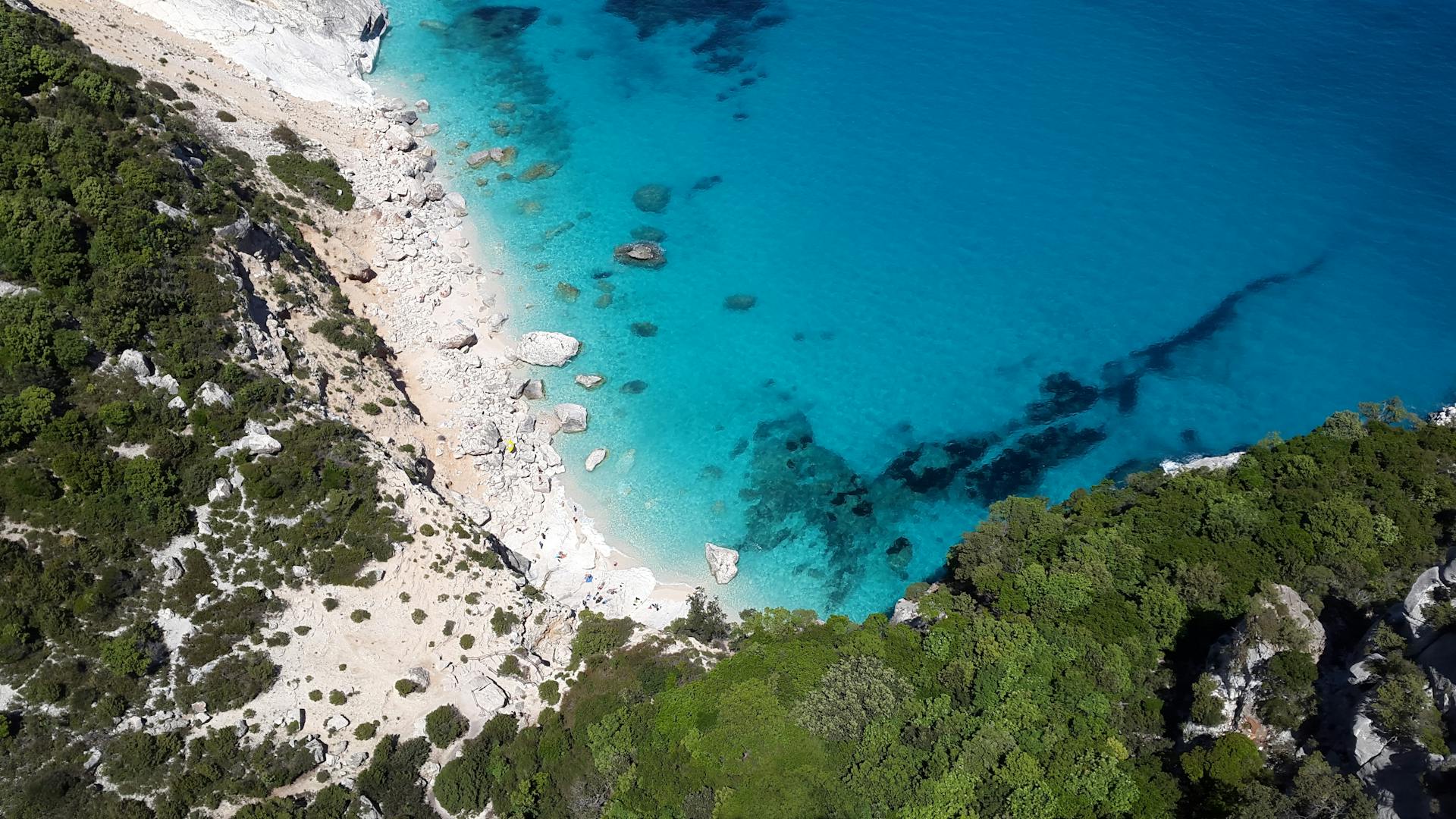 Costruire il Mediterraneo che immaginiamo: dialogo, partecipazione e responsabilità condivisa