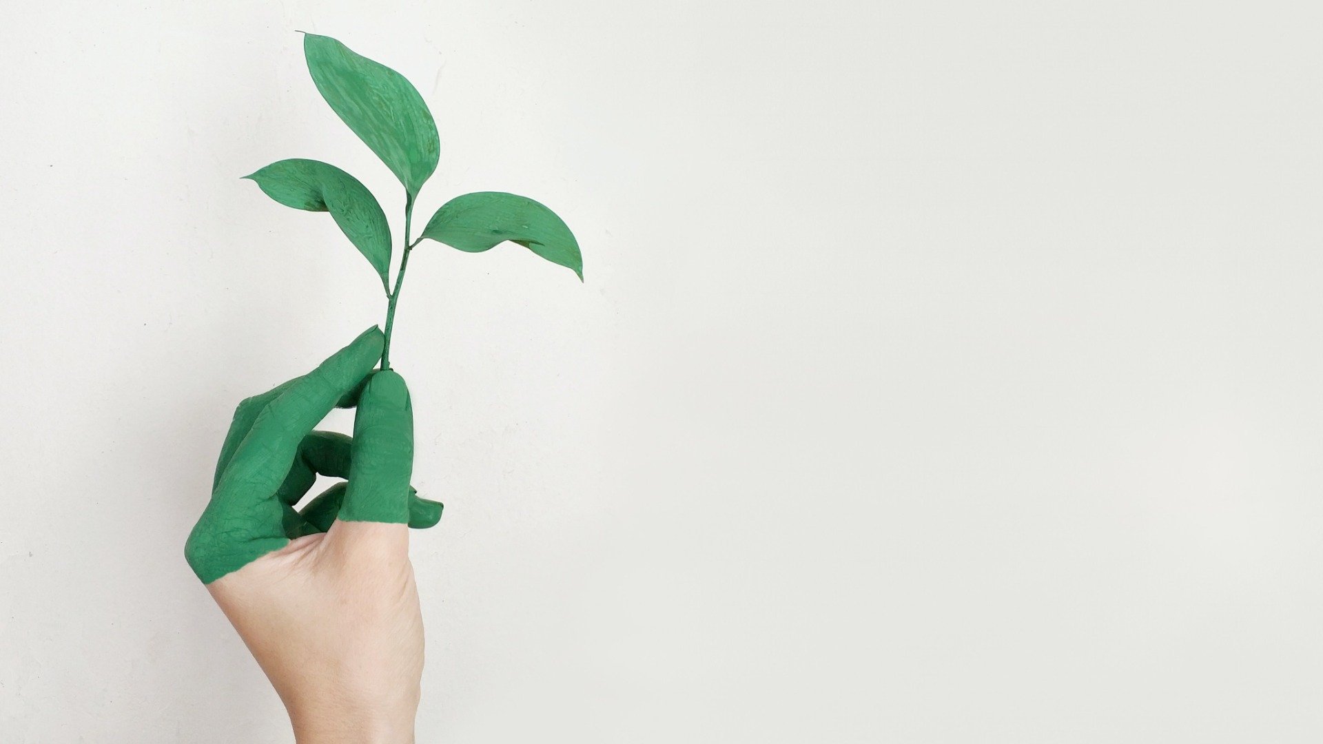 Un concorso per dare soluzione ai problemi ambientali: Partecipa alla competizione di GREEEN