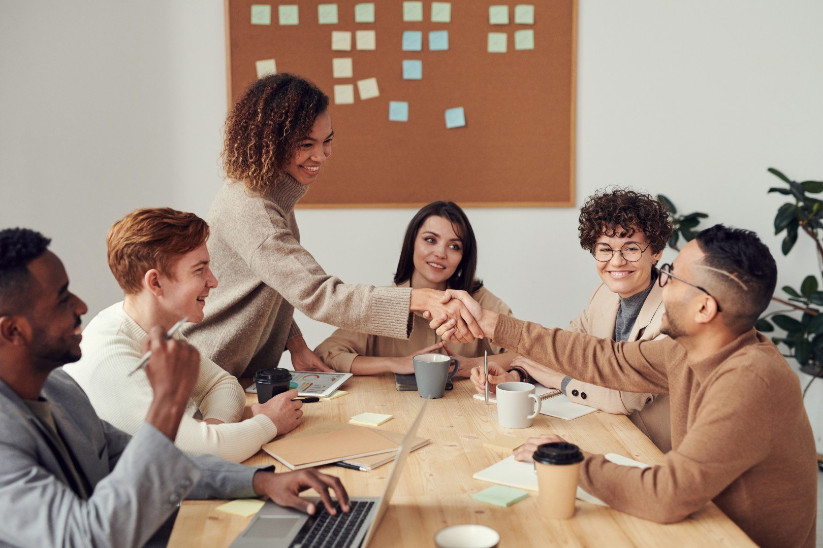 Partecipa ai nostri WORKSHOP ONLINE sulle competenze socio-emotive per il mondo del lavoro!