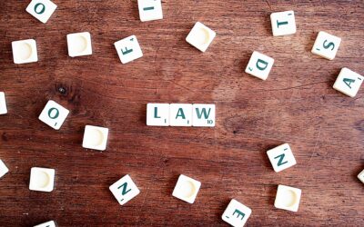Legal literacy for youth: explore the new LAW training tools