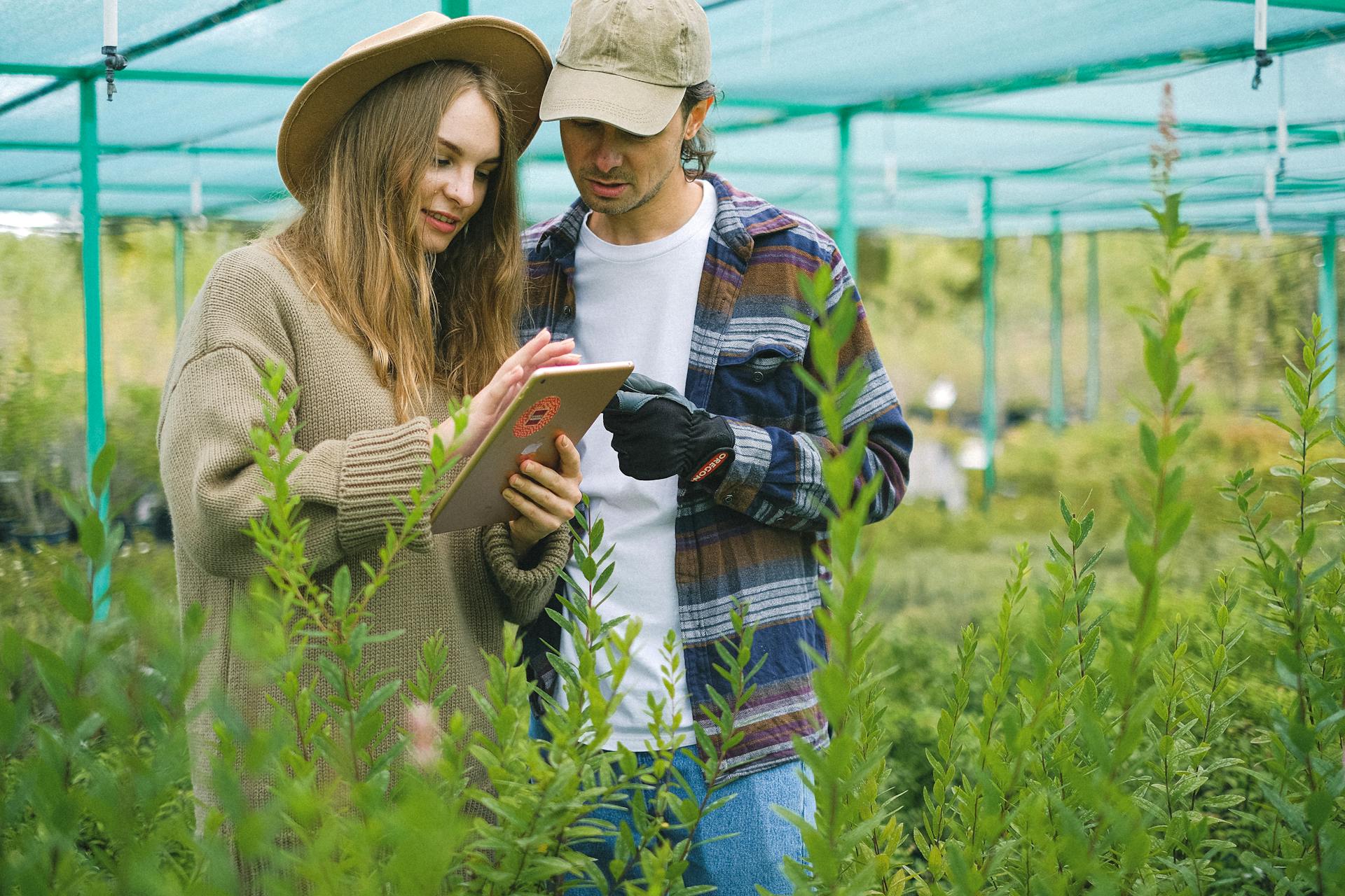 Digitalizzazione per il settore agroalimentare – corso di comunicazione e sviluppo digitale