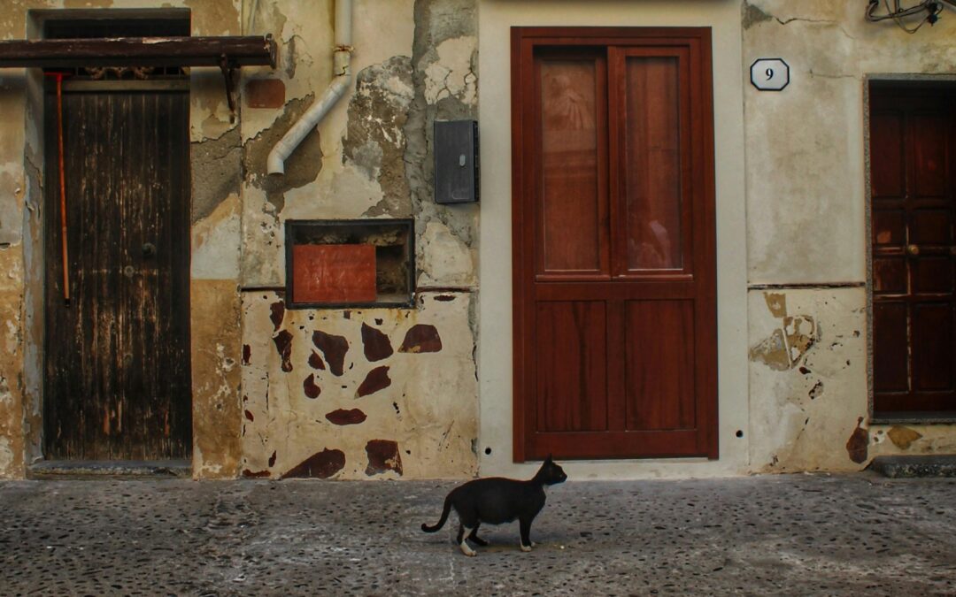 Restare o andare via: quando il futuro sembra altrove
