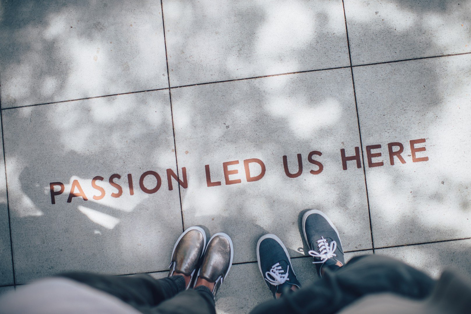 Now online the training for (experienced and aspiring) women entrepreneurs